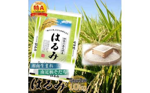 【令和5年産】湘南生まれ 南足柄育ちのお米「はるみ」(精米)10kg(5kg×2袋)〈出荷時期:10月初旬から順次発送〉【 神奈川県 南足柄市  】【ギフト プレゼント 贈り物 お返し おいしい 仕送り コシヒカリ キヌヒカリ ごはん おいしい 神奈川県 南足柄市 】