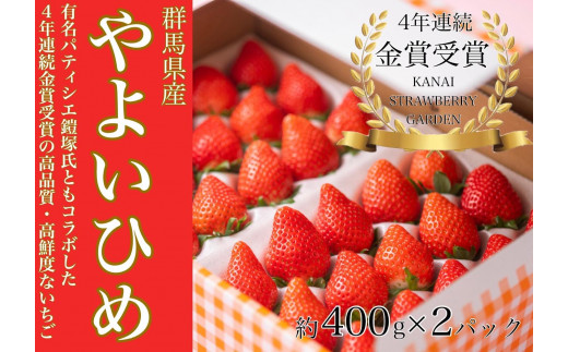 ふるさと納税「高崎市」の人気返礼品・お礼品比較 - 価格.com