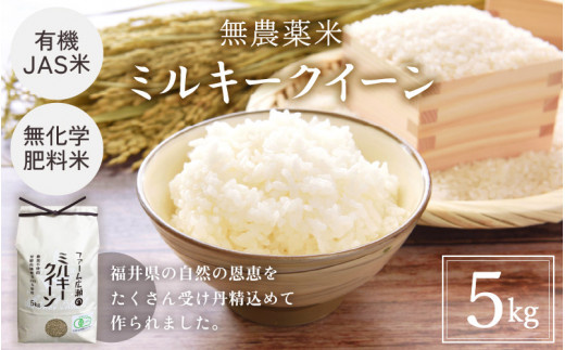 y䌧zOszyāzL@JAS ~L[NC[ 5kg