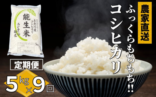 【令和5年産新米】新潟県産コシヒカリ『能生米』5kg 農家直送 米