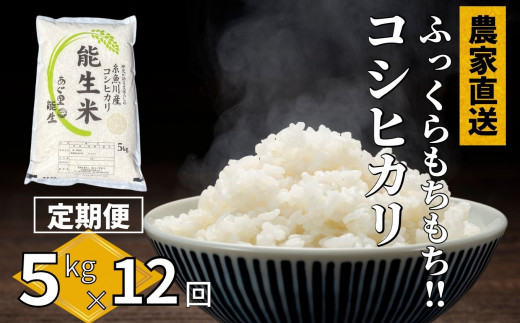 【令和5年産新米】新潟県産コシヒカリ『能生米』5kg 農家直送 米