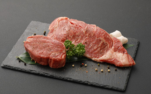 【熊本県水俣市】【定期便10か月】 熊本産 ステーキ 用 あか牛 定期便 10か月コース