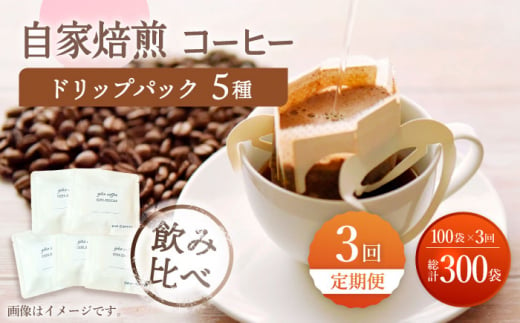 【飲み比べ】【3回定期便】ドリップバック 自家焙煎コーヒー 100袋（5種類×20袋） ＜giko coffee＞ [CFK038]