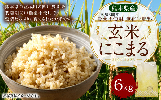 熊本県産　新米100%　発芽玄米　3kg 自家製産　ヒノヒカリ