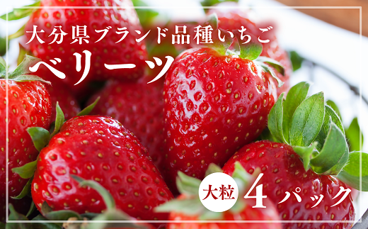 【先行予約】大分県ブランドいちご「ベリーツ」大粒（280g×4パック）