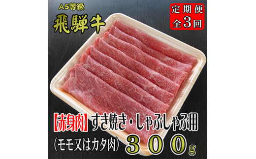 ふるさと納税 石川県 能登牛 ロース しゃぶしゃぶ用 750g _22372 - 牛肉