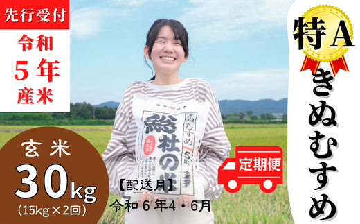 【令和5年産米】特Aきぬむすめ【玄米】30kg定期便（15㎏×2回）岡山県総社市産〔令和6年4月・6月配送〕 23-025-016