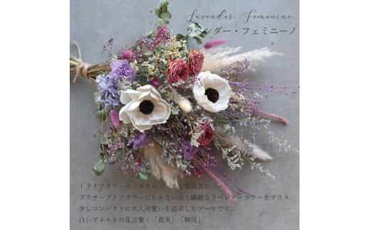 アレンバック ピンクのアネモネ アレンバック ピンクのアネモネ アレンバック ピンクのアネモネ アレン