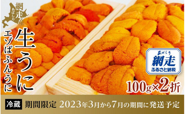 【期間限定】＜網走産＞生エゾばふんうに 冷蔵100g×2折【2023年3月から7月の期間に発送予定】 - 北海道網走市｜ふるさとチョイス -  ふるさと納税サイト