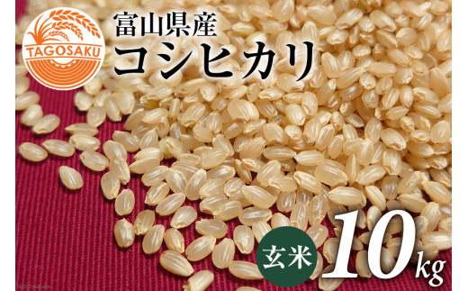 米 令和4年 コシヒカリ 玄米 10kg / TAGOSAKU / 富山県 朝日町