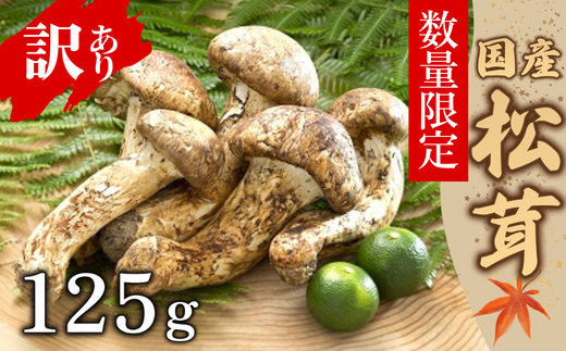 【数量限定】 天然松茸 125g 松茸ご飯、焼き松茸、土瓶蒸しなど 訳