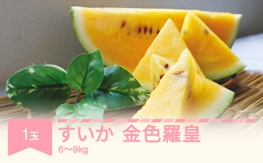 ふるさと納税 スイカ 熊本県 和水町 大玉スイカ 黄金色 金色羅皇 1玉 ふるさと納税 スイカ 熊本県 和水町 大玉スイカ 黄金色 金色羅皇 1玉