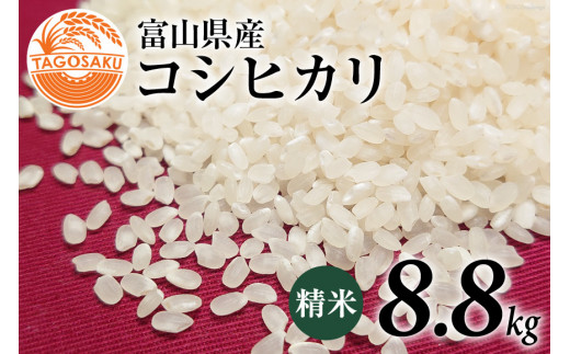 じーさま専用ページ　富山県立山産コシヒカリ　精米20kg じーさま専用ページ 富山県立山産コシヒカリ 精米20kg