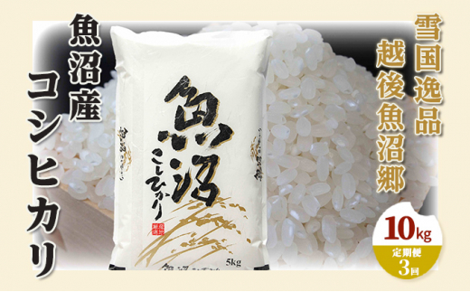 yVsz[5762-0969]yցFፑi 10kg×3zz㋛ YRVqJ  l Ra ~l  R wJ   S ɏ
