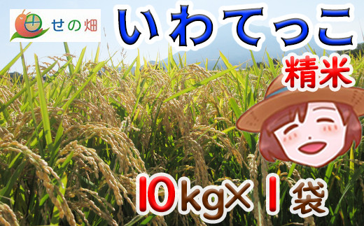 2024年11月発送開始】 令和6年産 新米 岩手県産 いわてっこ 精米 10kg×1袋 ／ 米 白米 産地直送 農家直送 【せの畑】 - 岩手県八幡平市｜ふるさとチョイス  - ふるさと納税サイト