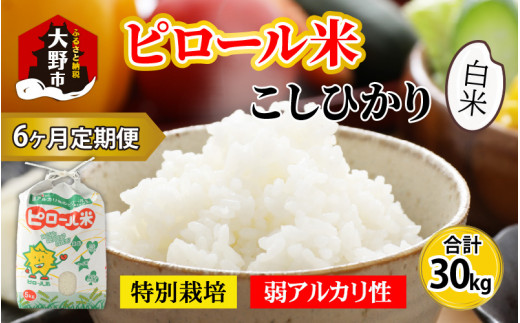 令和5年産 新米】【6ヶ月定期便】こだわりの米！弱アルカリ性の