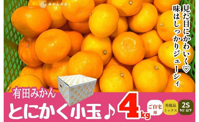 とにかく小玉 有田みかん 4kg秀優品ミックス 2S以下 和歌山県産 【みかんの会】 - 和歌山県有田川町｜ふるさとチョイス - ふるさと納税サイト