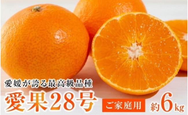 2025年12月上旬から順次発送】愛媛が誇る最高級柑橘【愛果28号】ご家庭