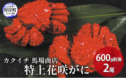 ykCݒzII kC@ݎY ԍ炪 600gO×2 I  C̍K CN Y kCY NNn  j j[ e W܂ ܂   }Ⓚ  [5863-0809]