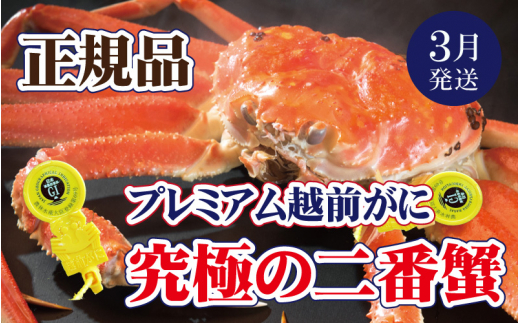 【福井県越前町】越前がに本場の越前町からお届け! 越前がに × 1杯(二番蟹)究極のプレミアム越前がに【かに カニ 蟹】【福井県 越前町 雄 ズワイガニ 生 ボイル 冷蔵 越前ガニ 越前かに