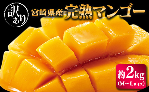 宮崎県産 完熟マンゴー 2kg