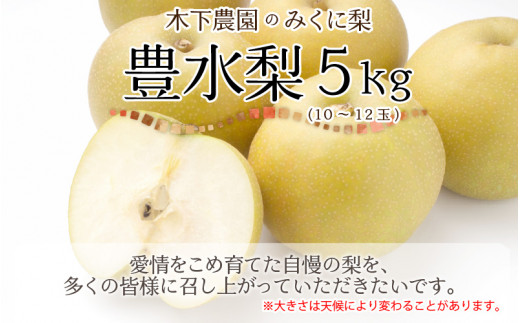 先行予約】 木下農園のみくに梨 「豊水梨」5kg（10～12玉）【2024年9月1日～9月15日発送予定】 [A-12102] -  福井県坂井市｜ふるさとチョイス - ふるさと納税サイト