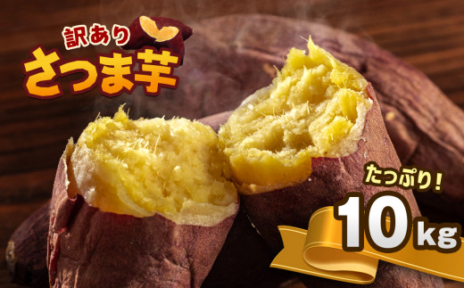 訳あり】さつまいも 紅はるか 約10kg 熊本県和水町産 - 熊本県和水町 訳あり】さつまいも 紅はるか 約10kg 熊本県和水町産 - 熊本県和水町