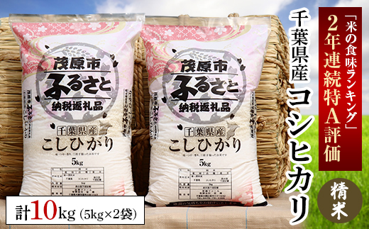 令和5年産 千葉県産コシヒカリ 精米 10kg(5kg×2袋)【1297647