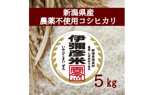 令和5年産 新潟県産 栽培期間中農薬不使用 コシヒカリ 「伊彌彦米 零