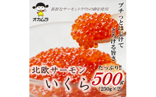 オカムラ食品工業の北欧サーモンいくら 500g(250g×2)【1315624