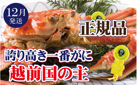 y䌧zOzzO × 1tiԊIjzO̎IzOɂ̏ےyY YCKj 킢 p  {C ① 䌧zy12zył͂z]w lɊ]