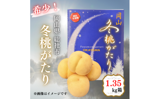 白桃「冬桃がたり（1.35kg箱）」岡山県総社市産【2024年産先行