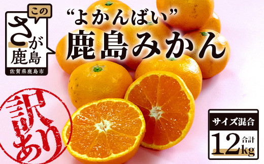 B-374 ”よかんばい”鹿島産みかん 訳アリ 約12kg 大中小サイズ混合