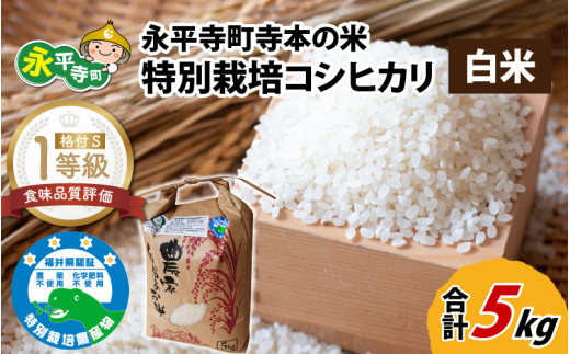 令和5年産 新米 無農薬・化学肥料不使用 永平寺町寺本の米 特別栽培