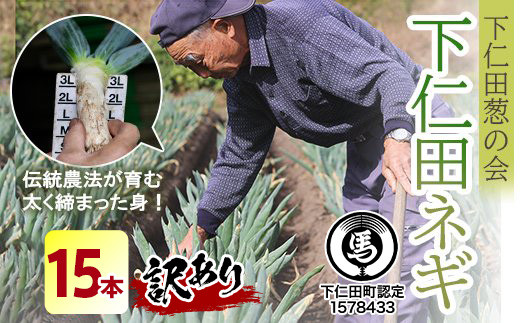 yQnmcz󂠂iƒpjmcK̉̉mcKiSTCY 15{j Ƃ낯 Â ˂ lM l˂ al˂ Y h{Ղ uh B˂ ₫ F21K-591