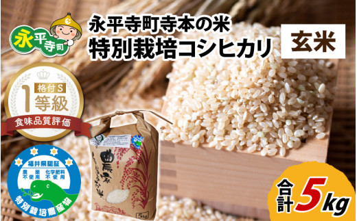 令和5年産 無農薬・化学肥料不使用 永平寺町寺本の米 特別栽培