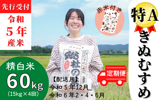 ふるさと納税 【令和5年産米】特Aきぬむすめ【玄米】60kg定期便（15kg