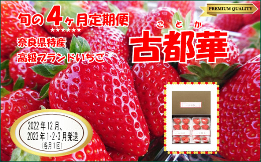 奈良県産 古都華 約300ｇ×6パック おおきさおまかせふるぅつふぁみりー