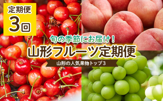 山形産りんごの熟成フルーツビネガー【りんご酢３本セット】 FY21-010