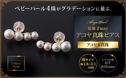 yꌧszIc2wayAR^sAXFC205-001