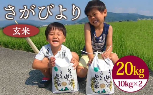 令和5年産 さがびより 玄米 20kg ( 10kg×2袋 ) 【ひなたむらのお米