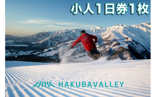 HAKUBA VALLEY 10スキー場共通こども1日券 1枚【B019-04】 - 長野県