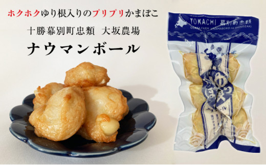 ykCʒz荪肩܂ڂuiE}{[v18i6×3Pj\ʒގY荪 [5749-1221]