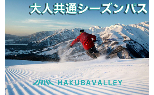 HAKUBA VALLEY 10スキー場共通大人1日券 3枚【J0099-02