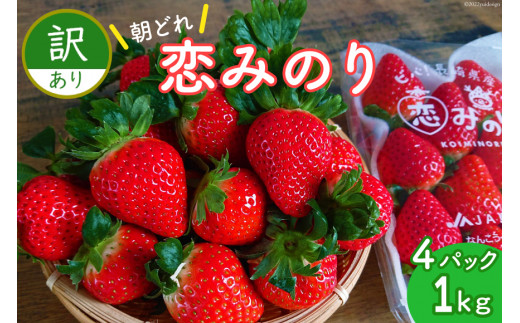 先行受付】訳あり いちご 恋みのり 1kg以上 朝どれ シャインファーム