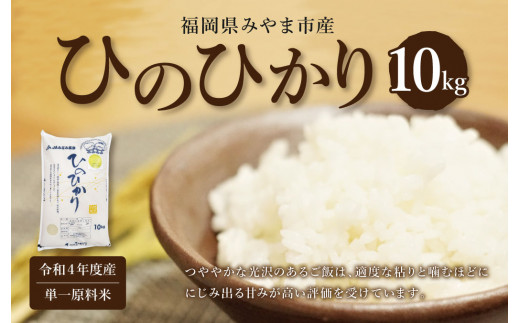 A49 【令和4年産】ひのひかり（10キロ） 白米 精米 お米