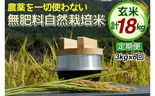 新米 令和5年産【6回定期便】自然栽培米 にこまる ＜農薬を一切使わ