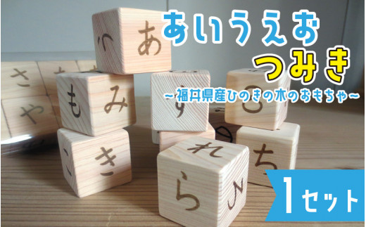 あいうえおつみき～福井県産ひのきの木のおもちゃ～ [B-06805]