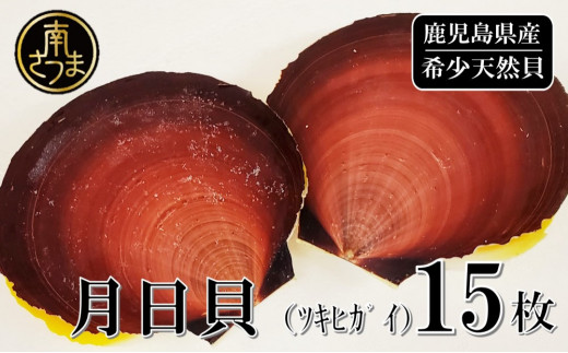 【数量限定】希少 鹿児島特産 月日貝15枚 （加熱用） 海鮮 貝 BBQ
