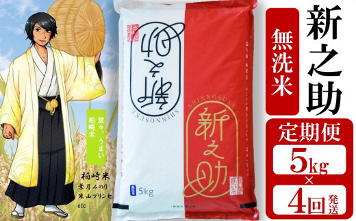 令和5年産米【定期便】望月鉄心が育てた 新之助 無洗米 5kg×4回（計 20kg）[G433]